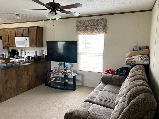 930 Half Pone Road Erin, TN 37061 - Photo 11 of 19 Gallery Image 11