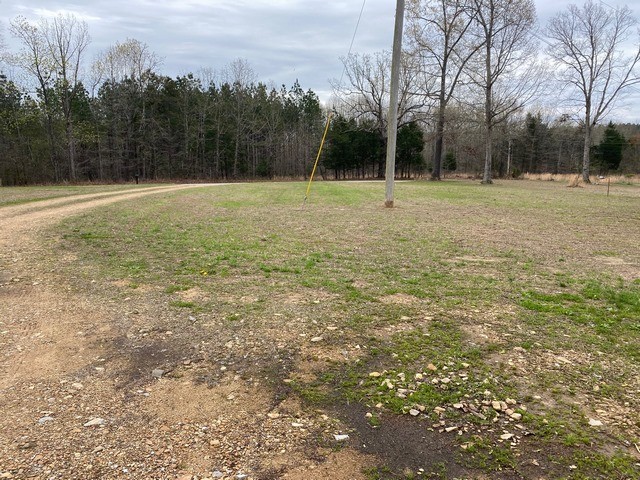 930 Half Pone Road Erin, TN 37061 - Photo 5 of 19 Gallery Image 5