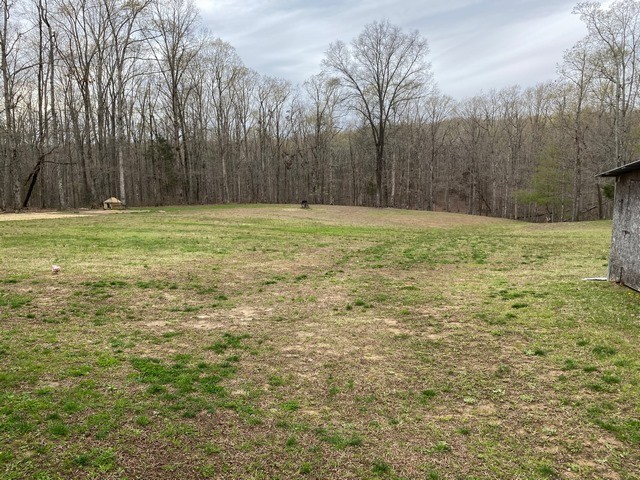 930 Half Pone Road Erin, TN 37061 - Photo 7 of 19 Gallery Image 7