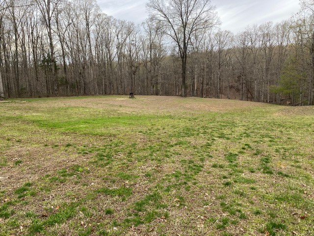930 Half Pone Road Erin, TN 37061 - Photo 8 of 19 Gallery Image 8