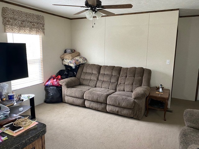 930 Half Pone Road Erin, TN 37061 - Photo 10 of 19 Gallery Image 10