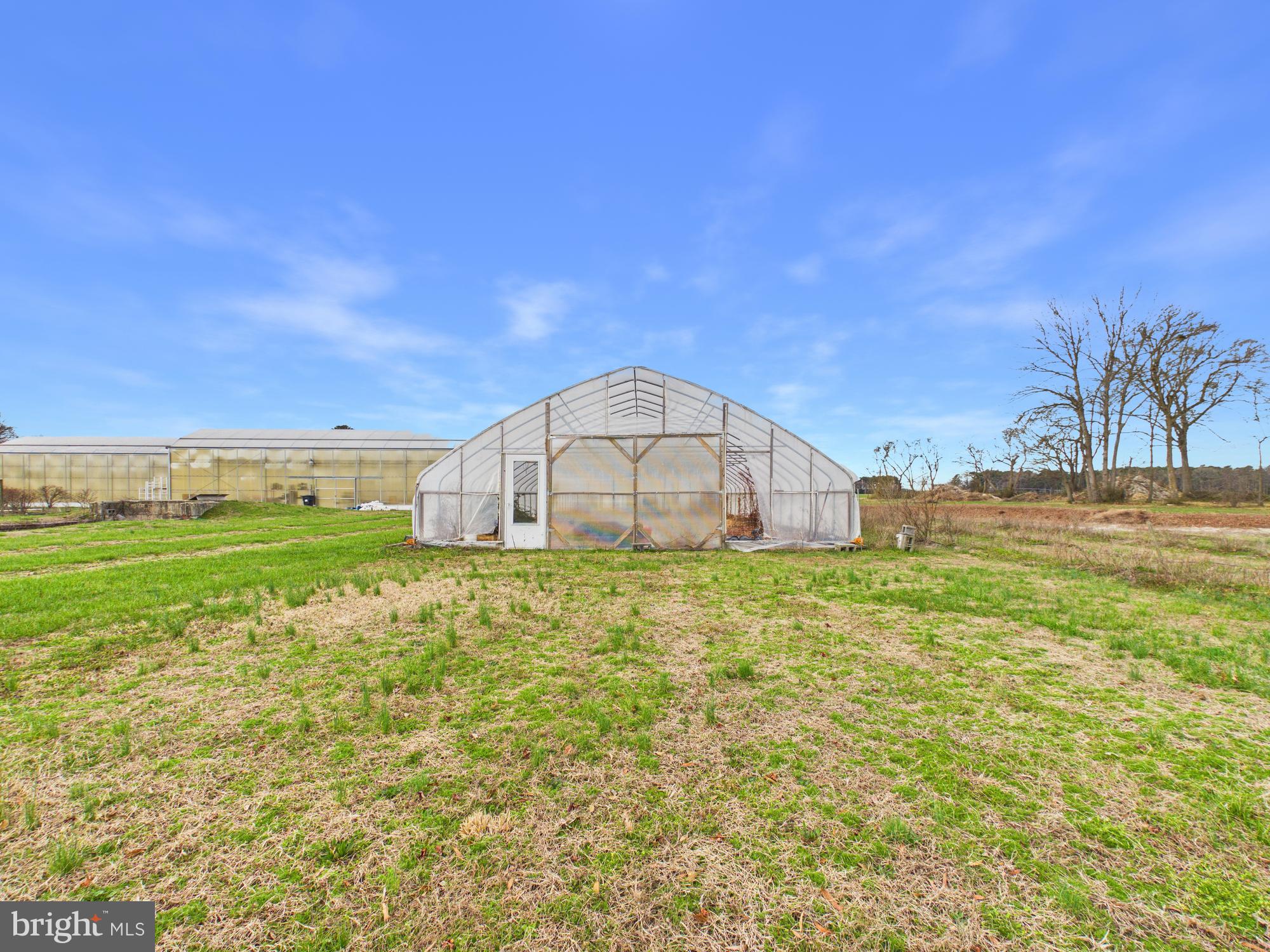 8416 Harmony Road Denton, MD 21629 - Photo 75 of 111 Front Green House