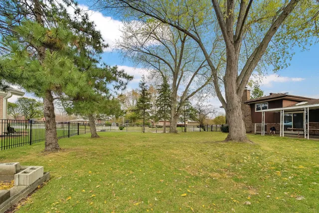 a view of a trees in front of a house with a big yard
