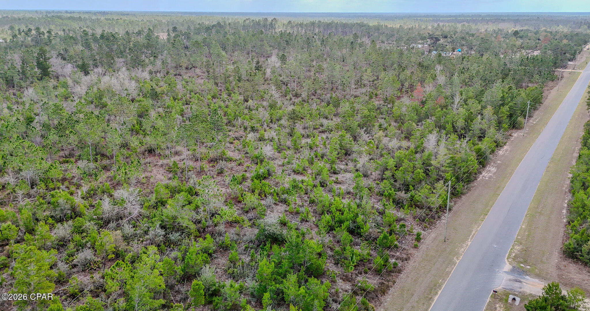 10112 South Silver Lake Road Fountain, FL 32438 - Photo 11 of 12