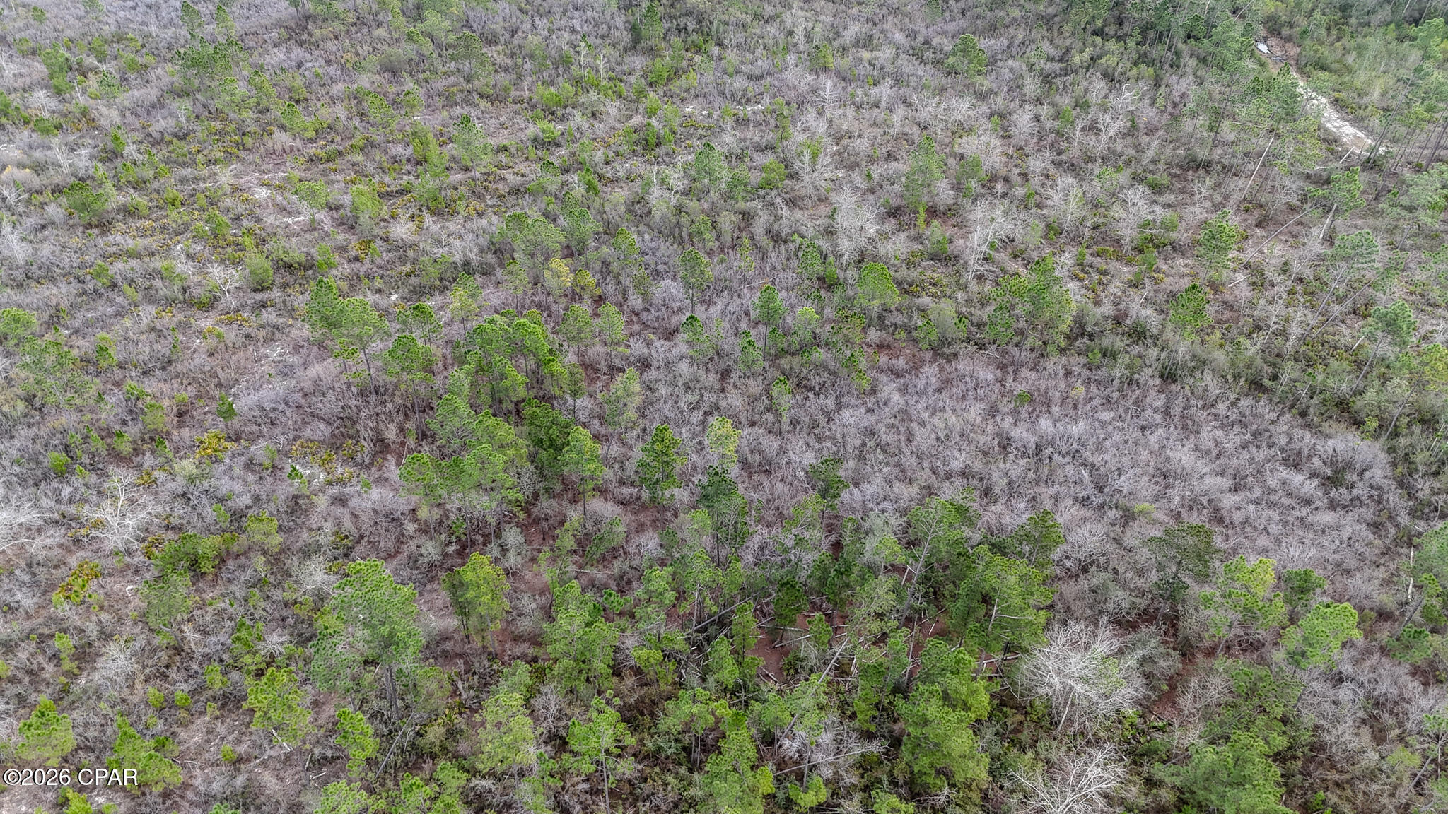 10112 South Silver Lake Road Fountain, FL 32438 - Photo 10 of 12
