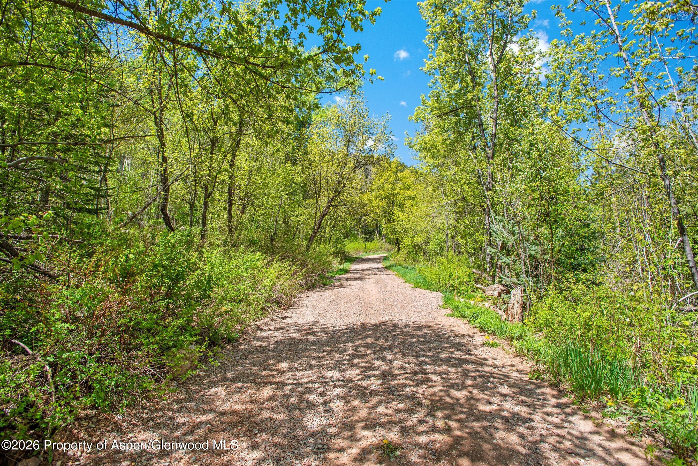 Tbd Coal Creek Road Carbondale, CO 81623 - Photo 6 of 12 09-CoalCreekRd_250520009