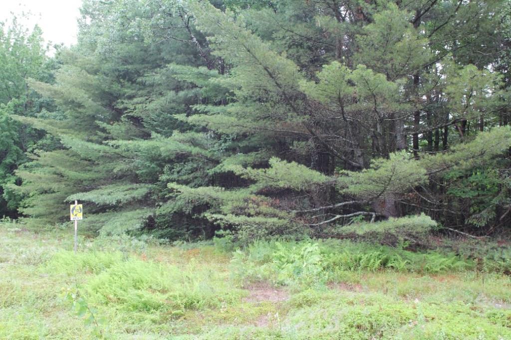 0 Burton Corner Road Pittsfield, ME 04967 - Photo 1 of 4 Photo