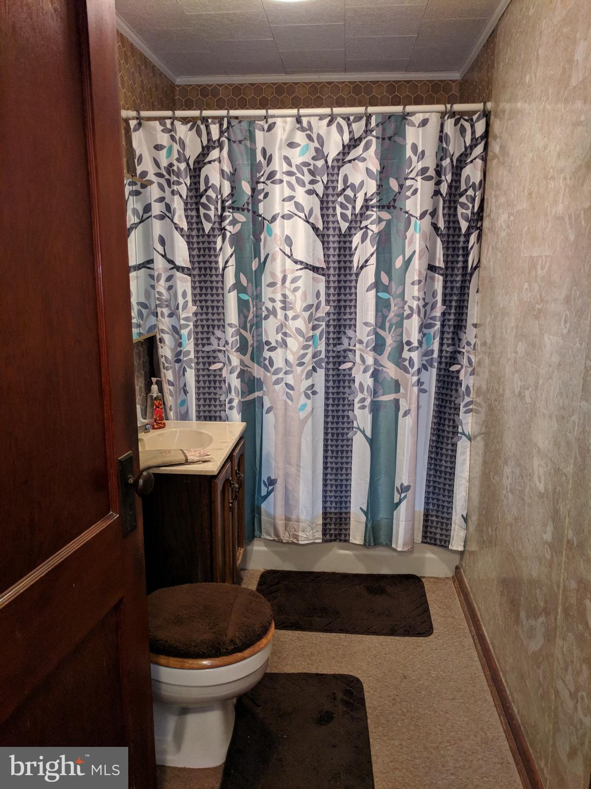 407 Chestnut Street Delta, PA 17314 - Photo 18 of 29 Bath with Cast Iron Tub