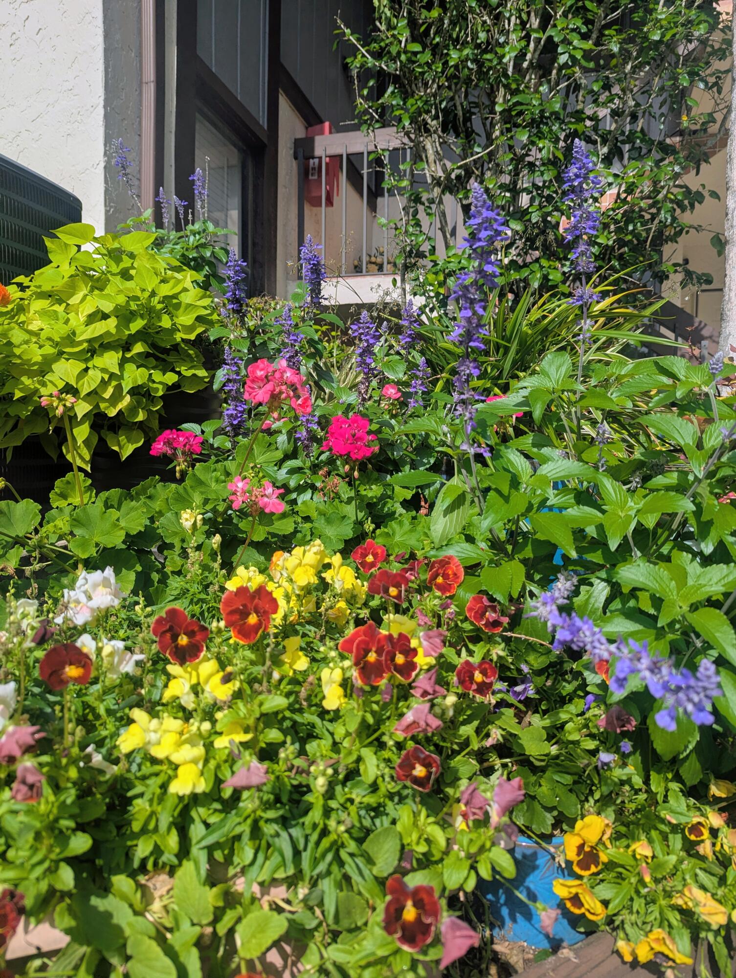 13329 Polo Club Road, Unit 206 Wellington, FL 33414 - Photo 5 of 60 PXL_20260401_140737904~2