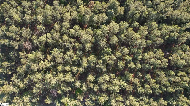 $105,000 | 4 Garlington Road, Cross Hill, SC 29332