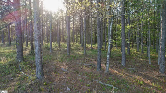 $105,000 | 4 Garlington Road, Cross Hill, SC 29332