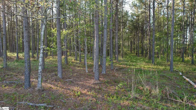 $105,000 | 4 Garlington Road, Cross Hill, SC 29332