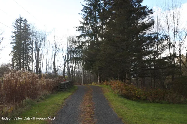 a view of backyard with green space
