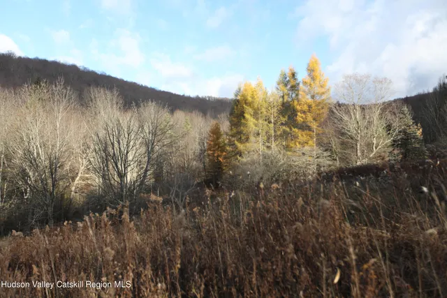 a view of a lake and green valley