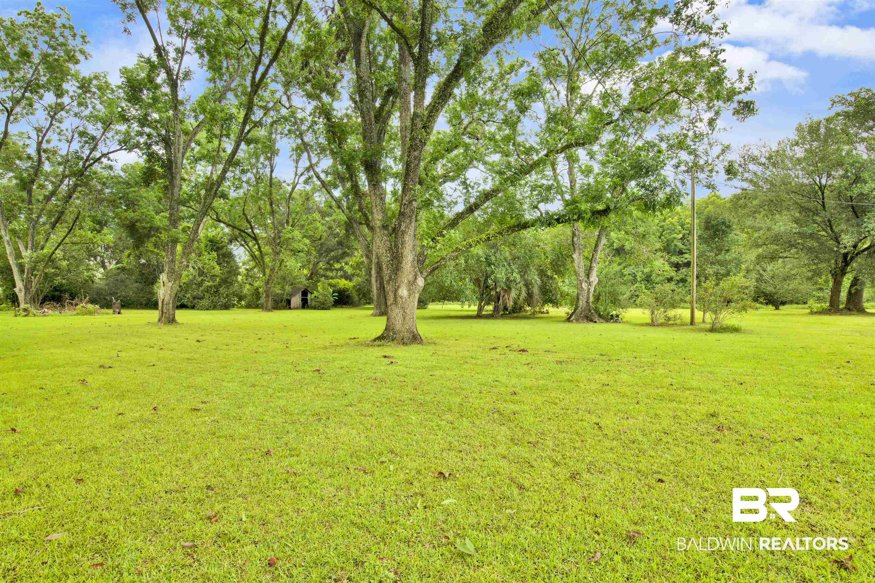 25700 County Road 71 Robertsdale, AL 36567 - Photo 32 of 40 View of grassy yard