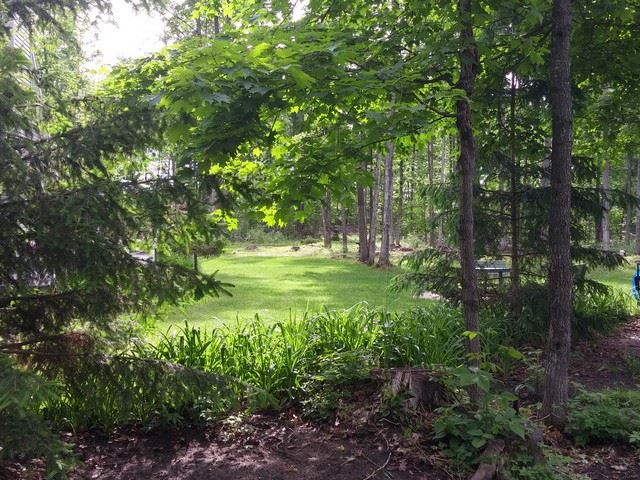 4400 Soderquist Road Mancelona, MI 49659 - Photo 52 of 61 1801697-53.JPG