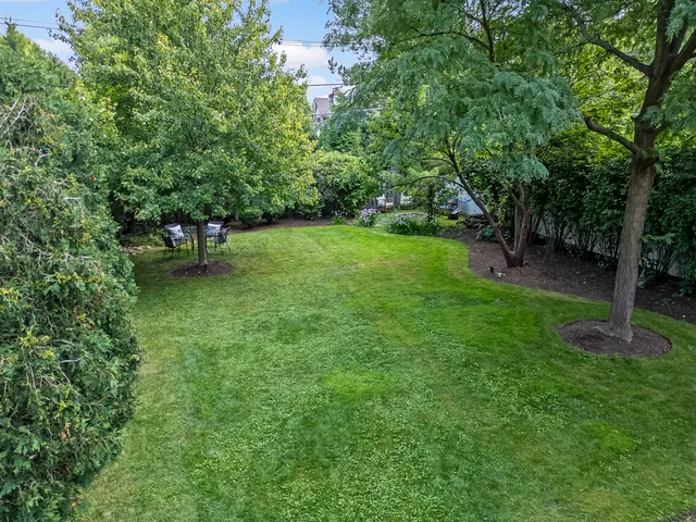 a view of a backyard with couches plants and large trees
