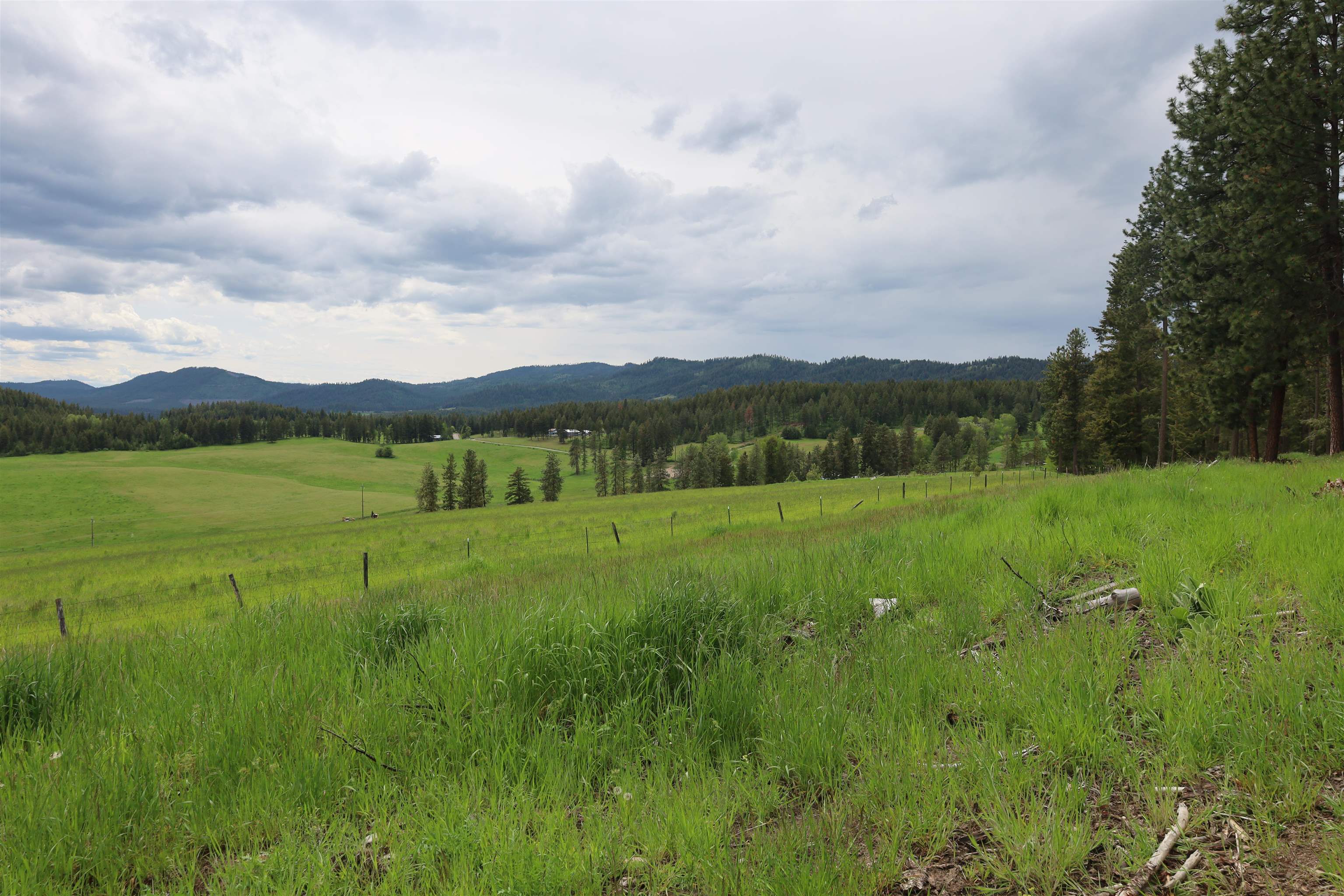 2400 Addy-Gifford Road Addy, WA 99101 - Photo 48 of 49