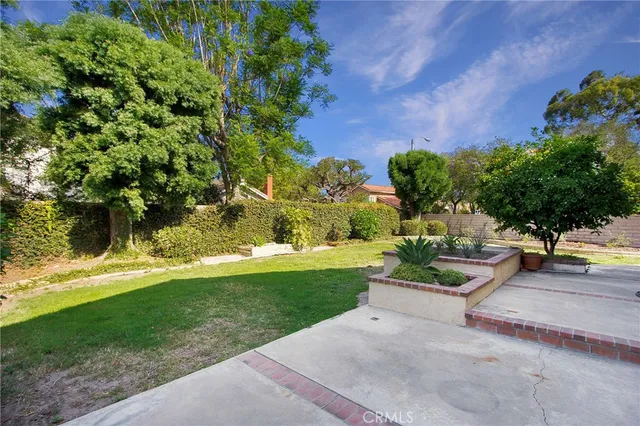 a view of a park with large trees