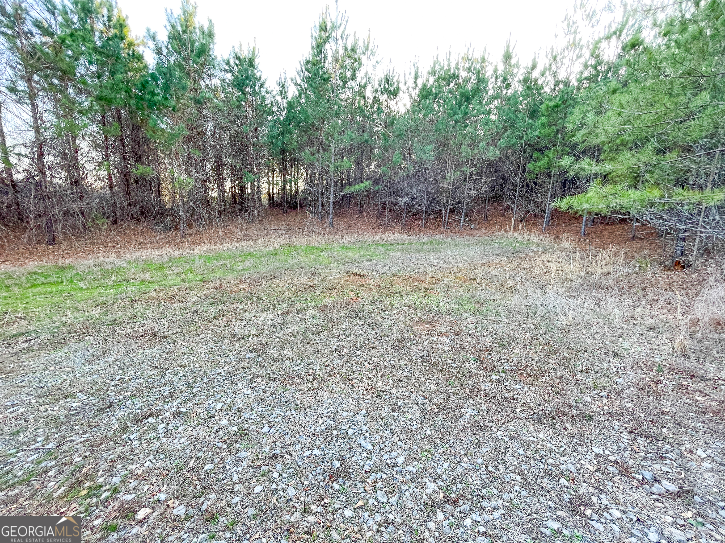 91 Acres On Fosters Mill Rd (ga Hwy 100) Cave Spring, GA 30124 - Photo 11 of 26 a view of a forest with trees in the background