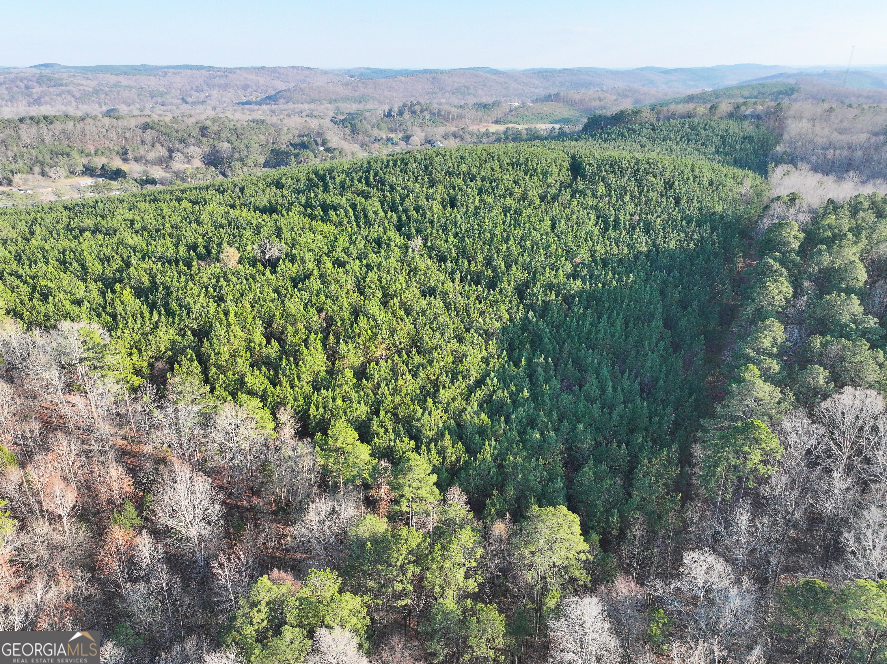 91 Acres On Fosters Mill Rd (ga Hwy 100) Cave Spring, GA 30124 - Photo 12 of 26 a view of a lush green forest with trees and mountain view