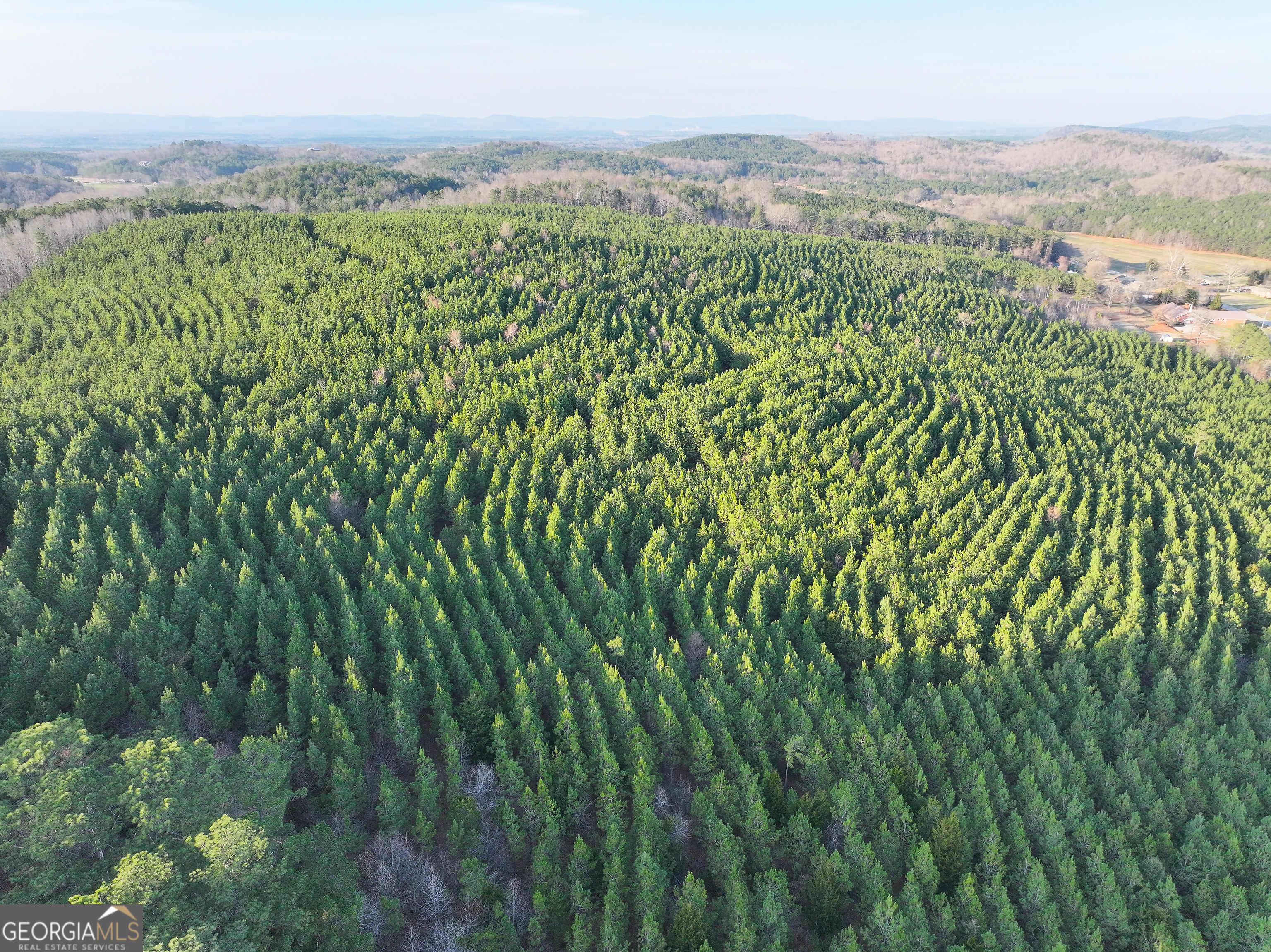91 Acres On Fosters Mill Rd (ga Hwy 100) Cave Spring, GA 30124 - Photo 22 of 26 a view of a green field with lots of bushes