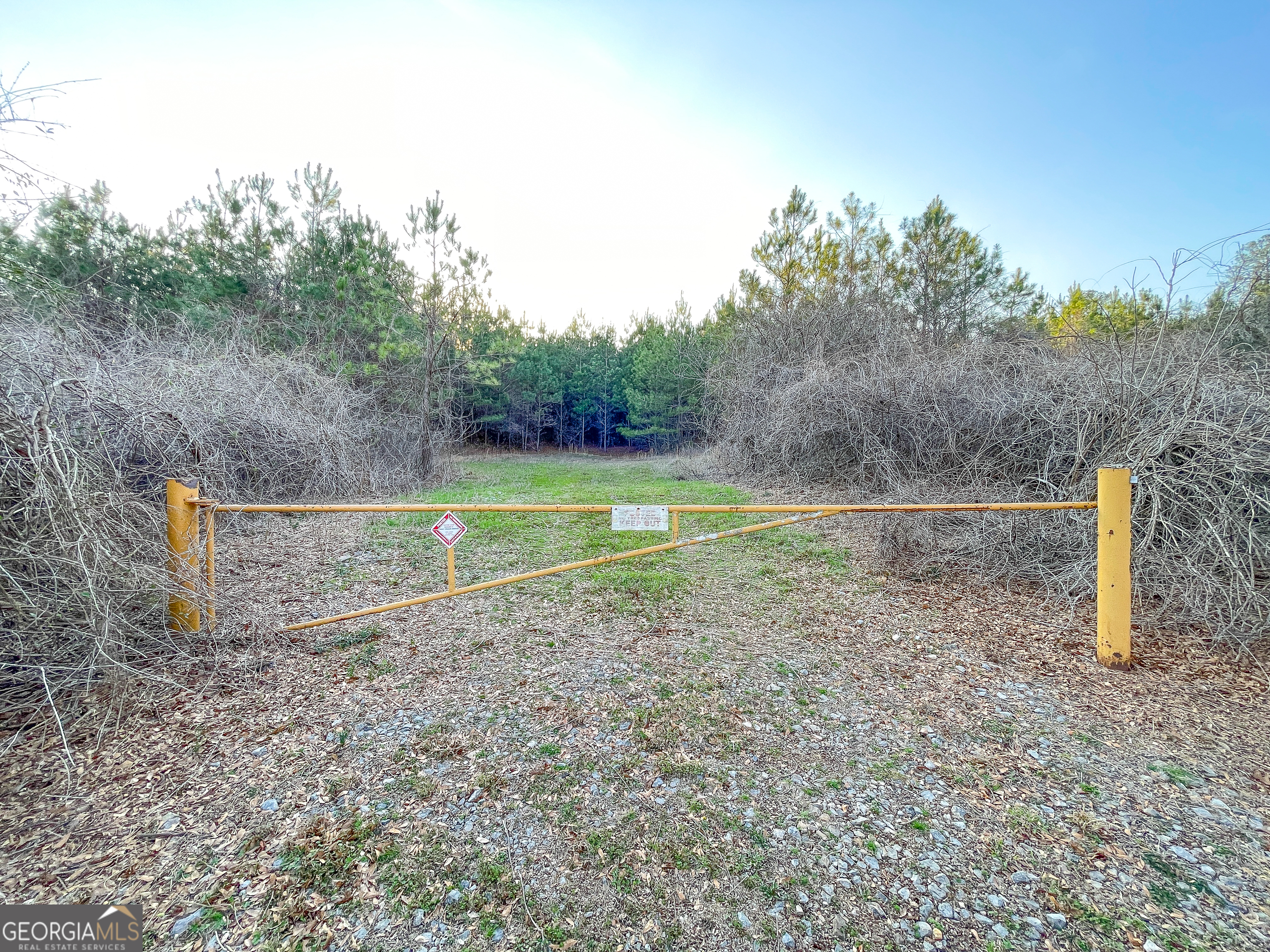 91 Acres On Fosters Mill Rd (ga Hwy 100) Cave Spring, GA 30124 - Photo 5 of 26 a view of a park