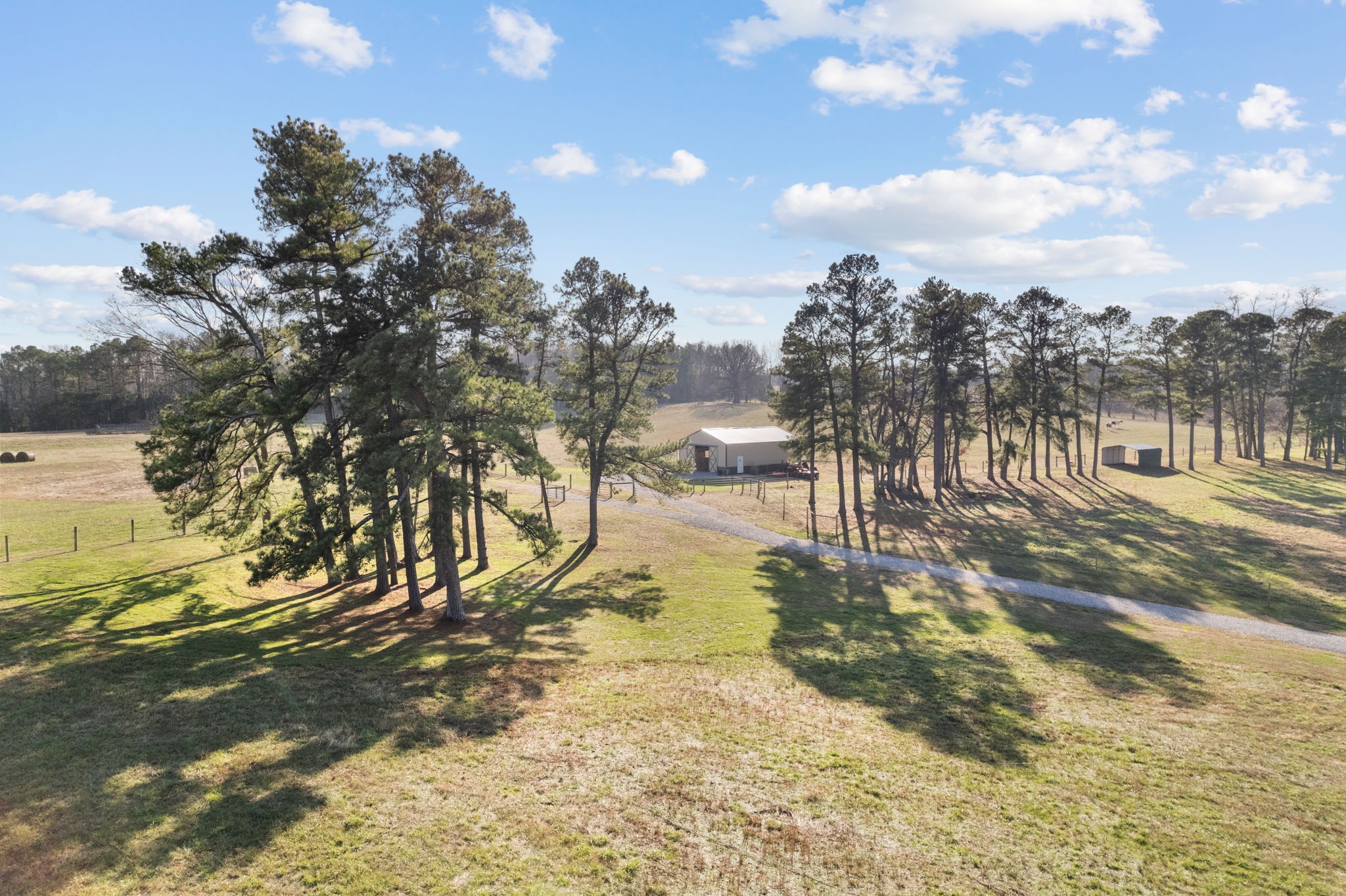 4729 Benson Road Springfield, TN 37172 - Photo 6 of 14 a view of a yard with swimming pool
