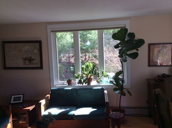 433 Warren Wright Road Belchertown, MA 01007 - Photo 14 of 30