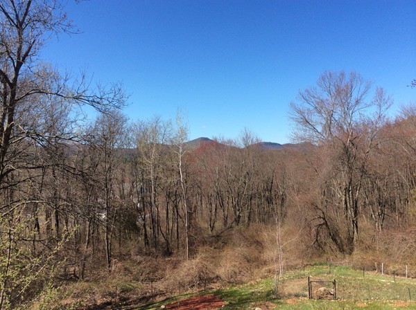 433 Warren Wright Road Belchertown, MA 01007 - Photo 20 of 30