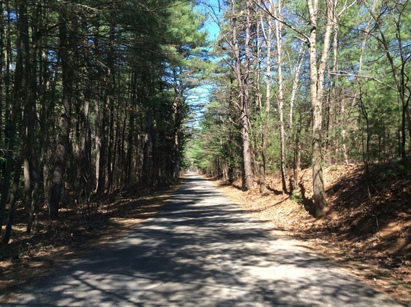 433 Warren Wright Road Belchertown, MA 01007 - Photo 29 of 30