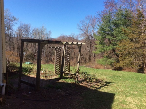 433 Warren Wright Road Belchertown, MA 01007 - Photo 4 of 30