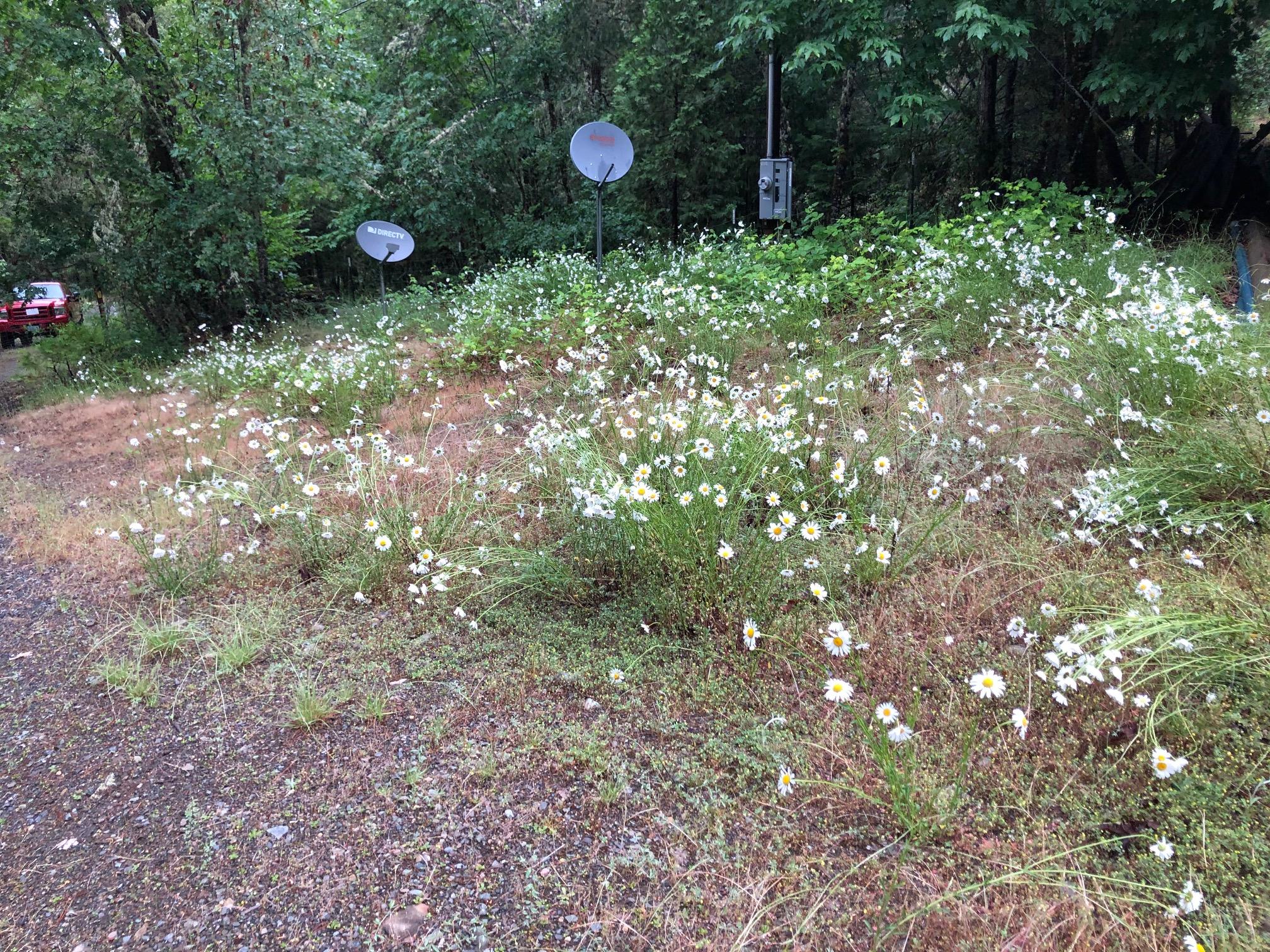 1665 Southside Road Grants Pass, OR 97527 - Photo 2 of 4 IMG_0387
