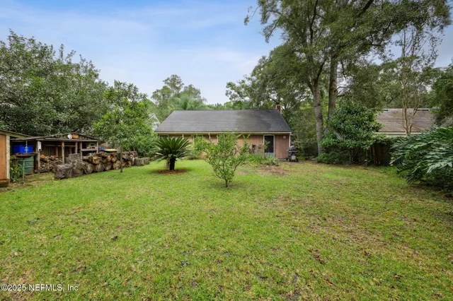 a view of a garden with a slide and a tree