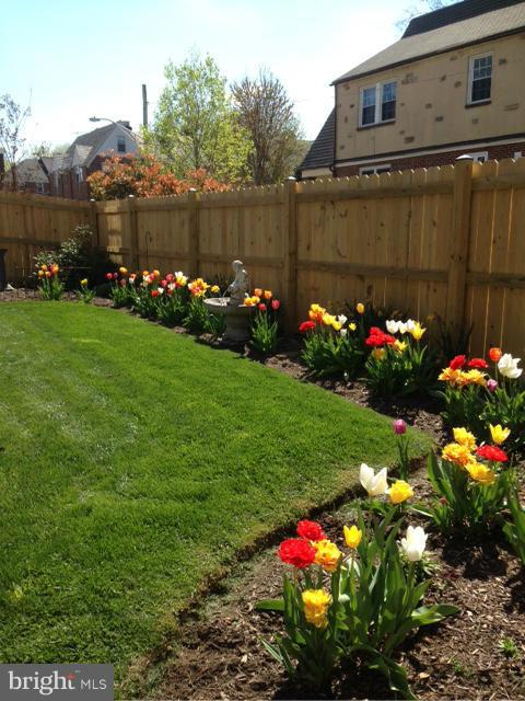 400 Hopkins Road Baltimore, MD 21212 - Photo 28 of 30 Over 100 tulips