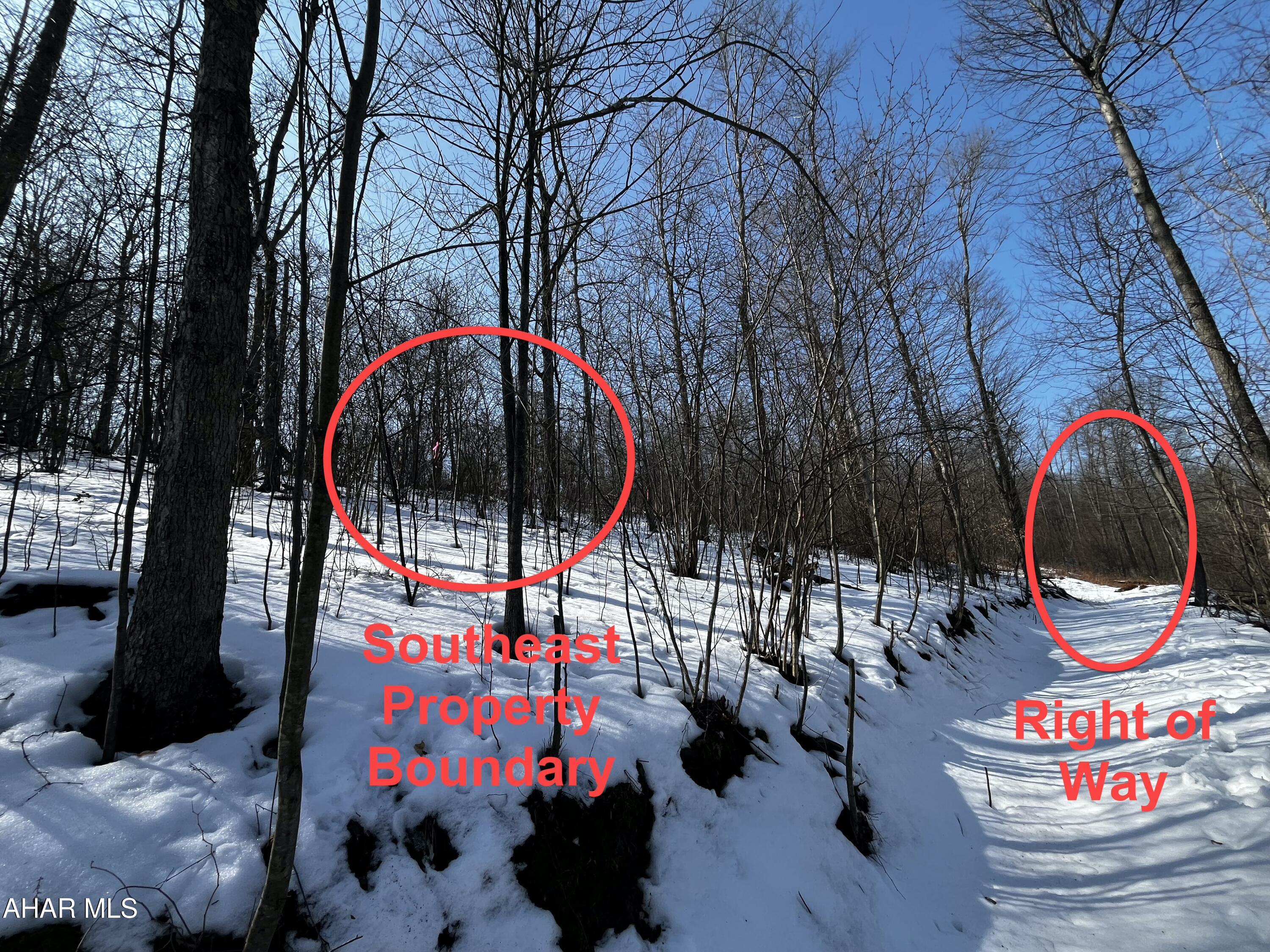 2491 Baughman Cemetery Road Tyrone, PA 16686 - Photo 13 of 19