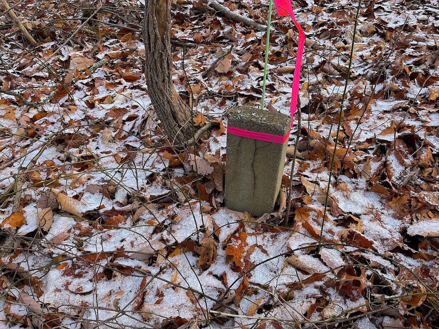 0 Hunting Run Road Lucasville, OH 45648 - Photo 28 of 39 IMG_0560