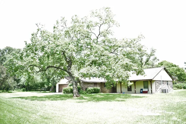 a house with trees in the background