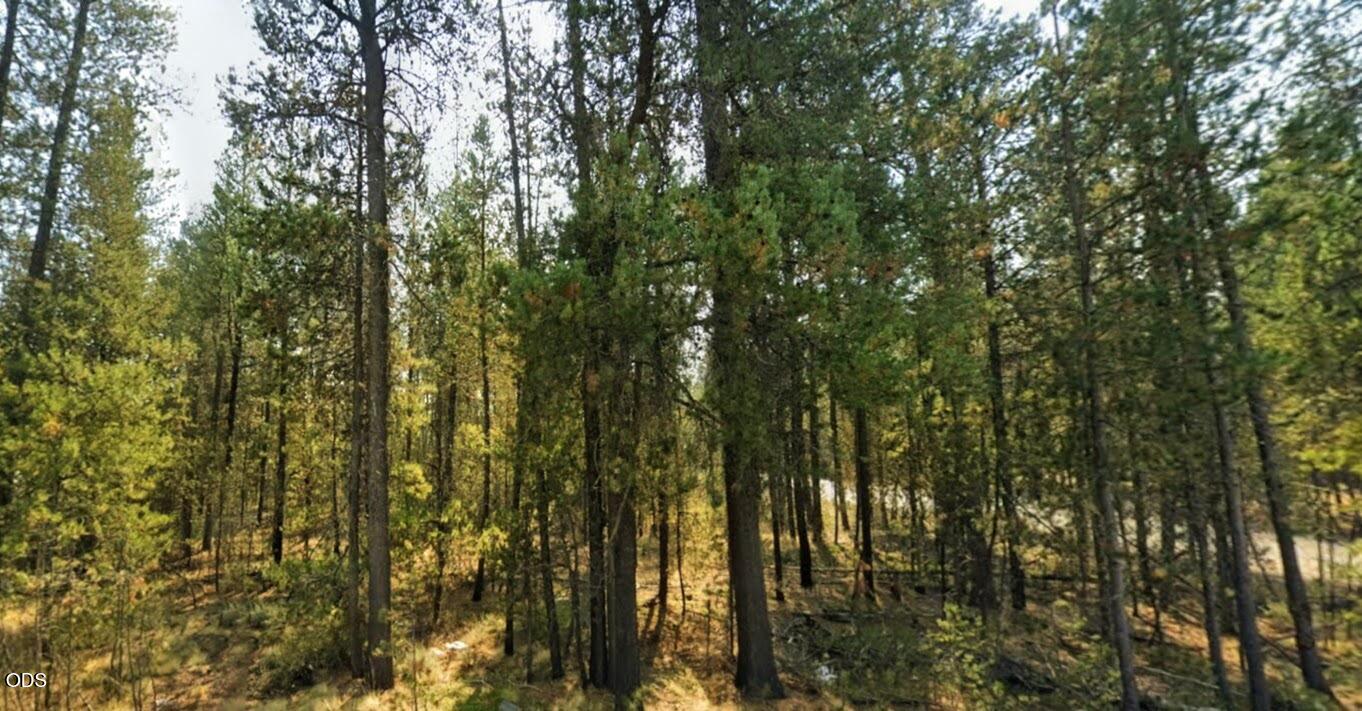 0 Burgess Road La Pine, OR 97739 - Photo 2 of 3