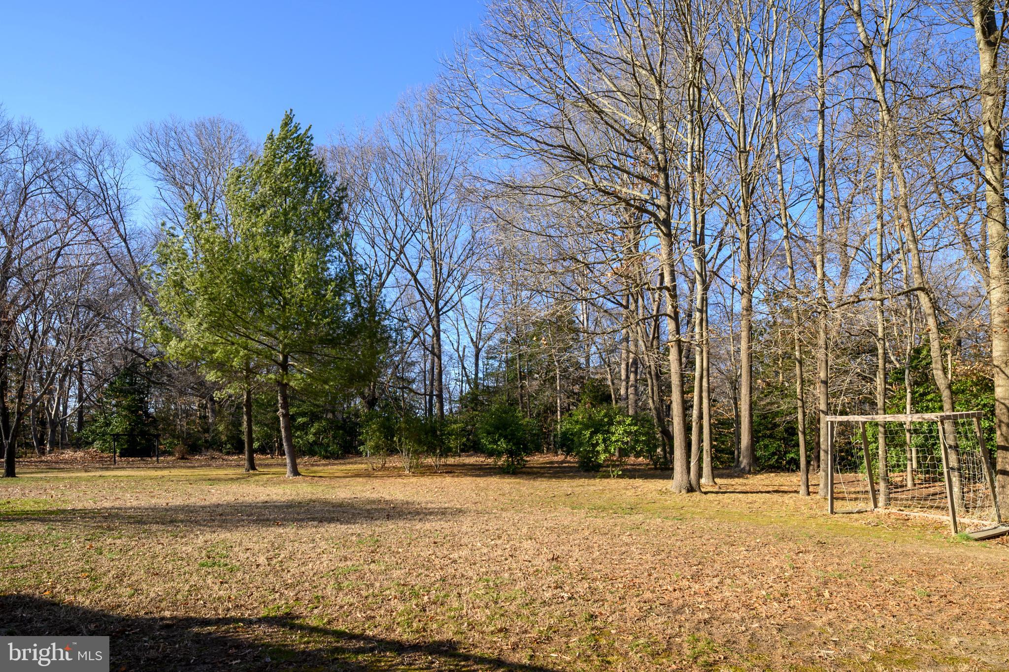 5885 Ketch Road Prince Frederick, MD 20678 - Photo 49 of 83 a view of a yard with a trees