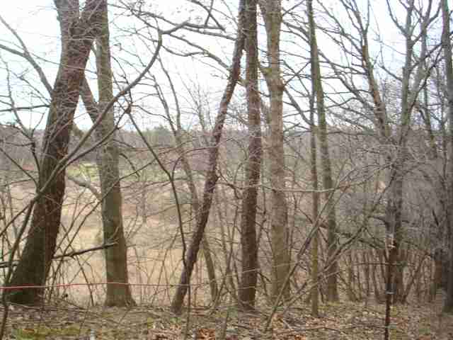 Vl Hough Road Dryden, MI 48428 - Photo 23 of 29 31082677-22.JPG