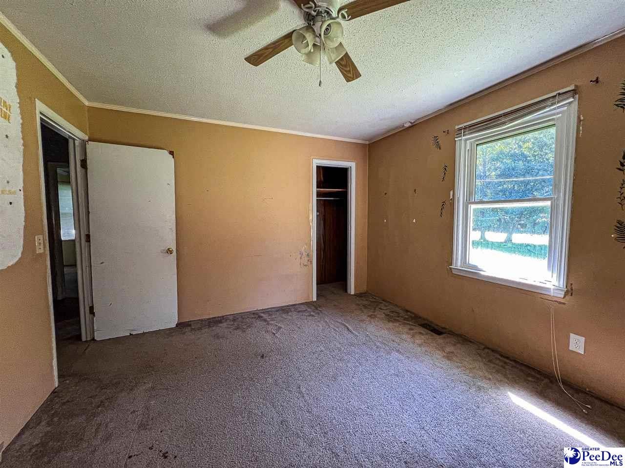 2398 State Rd S-14-28 Alcolu, SC 29001 - Photo 28 of 51 Gallery Image 28