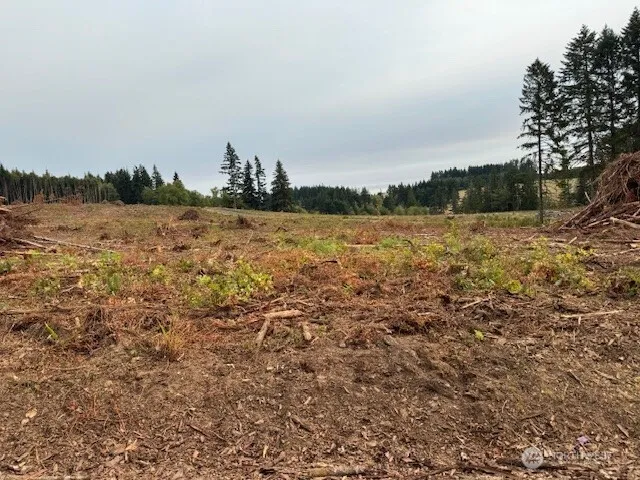 a view of ocean view with a palm trees