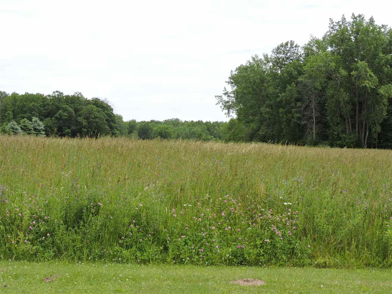 2386 North Flajole Road Rhodes, MI 48652 - Photo 22 of 22