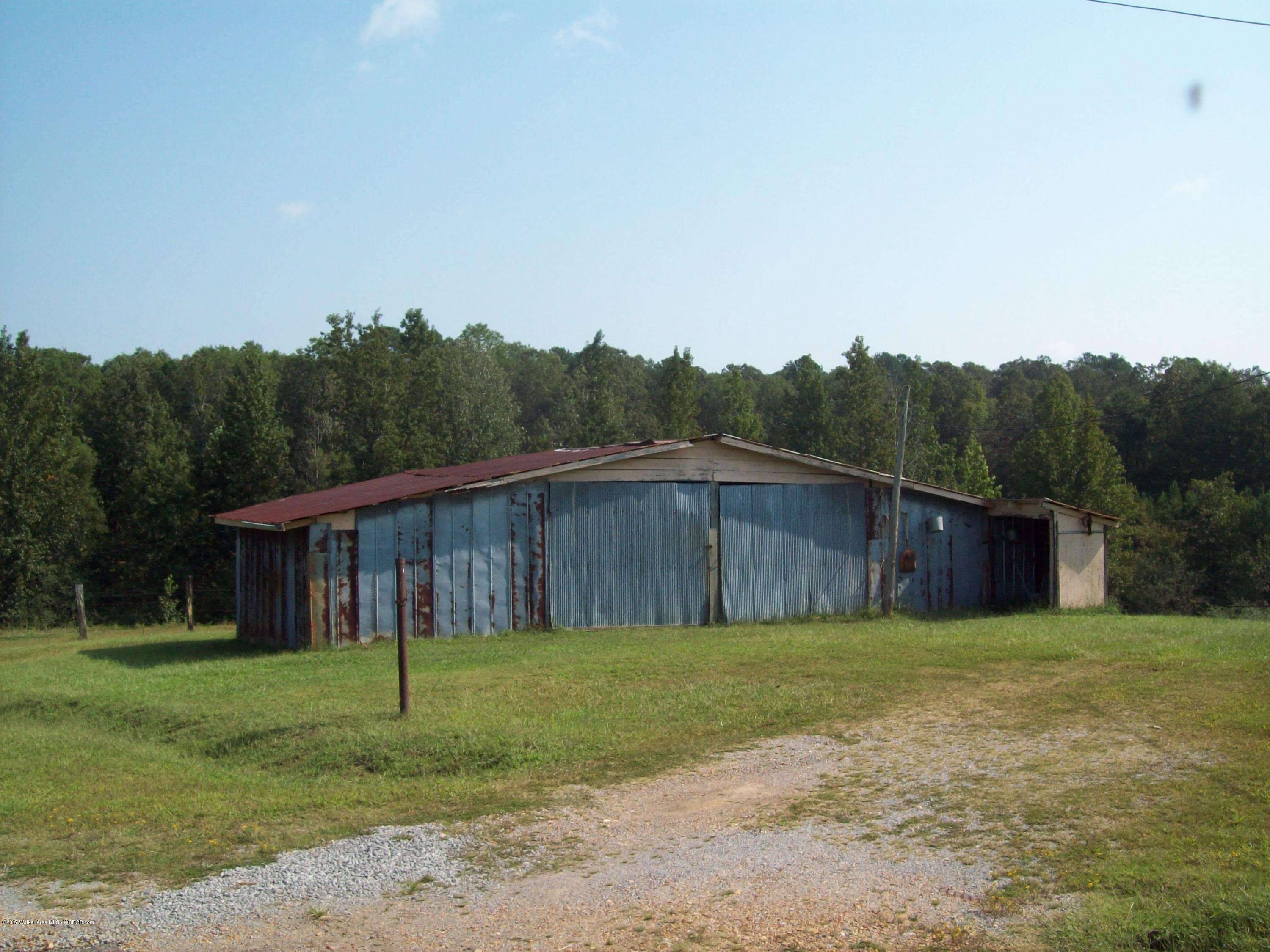 222 Dill Road Jasper, AL 35504 - Photo 8 of 28 Gallery Image 8