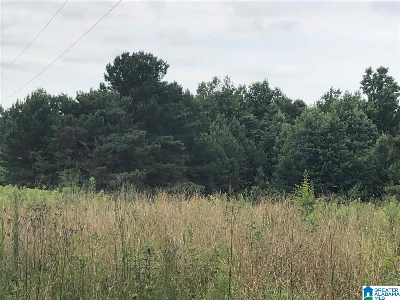 0 Maple Crest Lane Hayden, AL 35079 - Photo 28 of 30