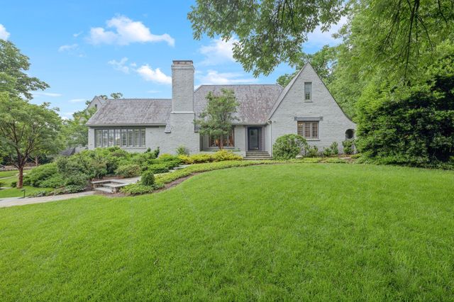 a view of a garden with plants and large trees