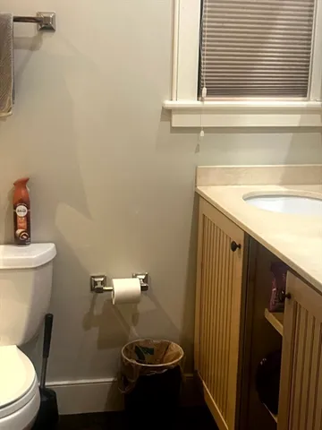 a bathroom with a sink and a toilet