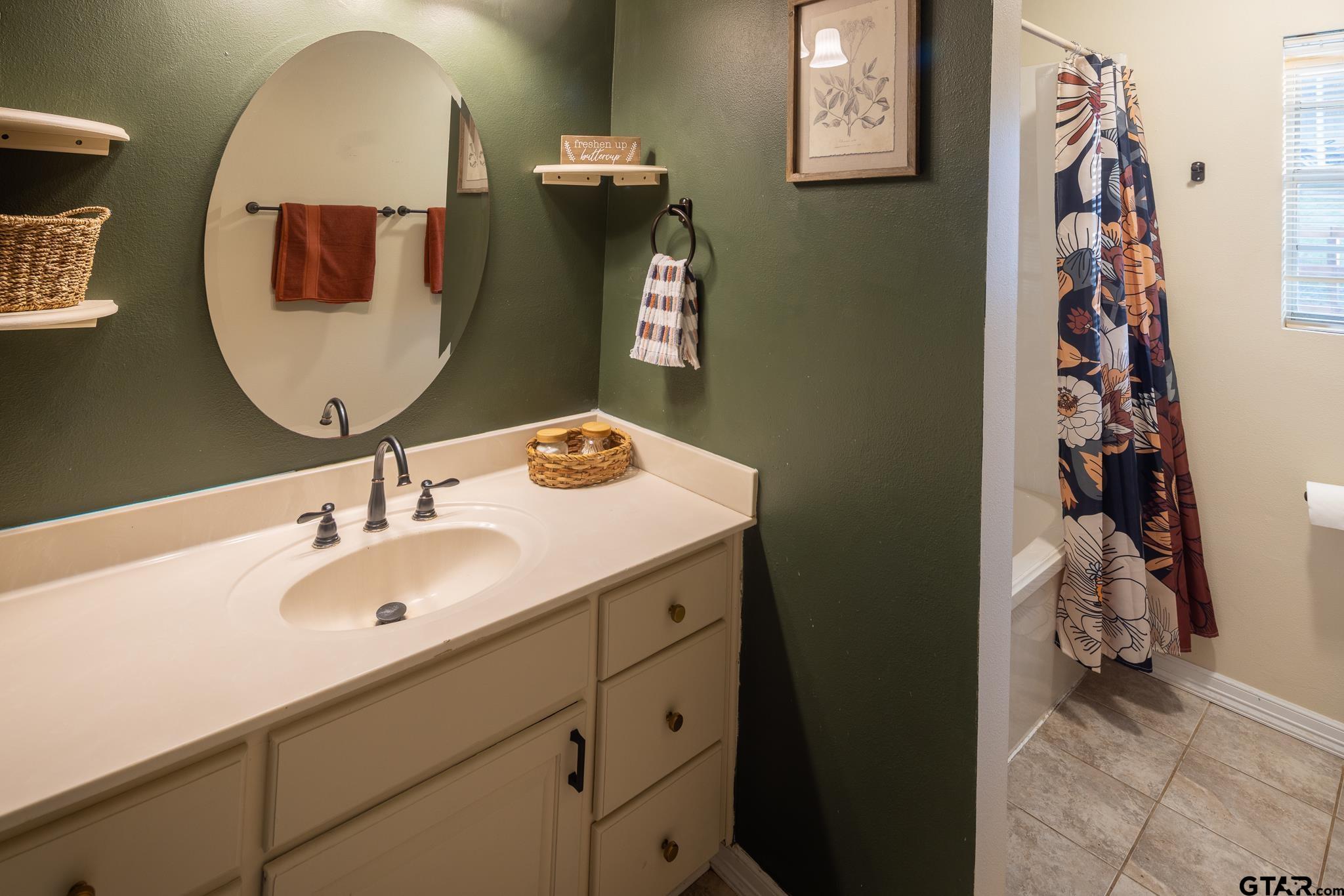 10733 County Road 4150 Tyler, TX 75704 - Photo 28 of 48 a bathroom with a sink and a mirror