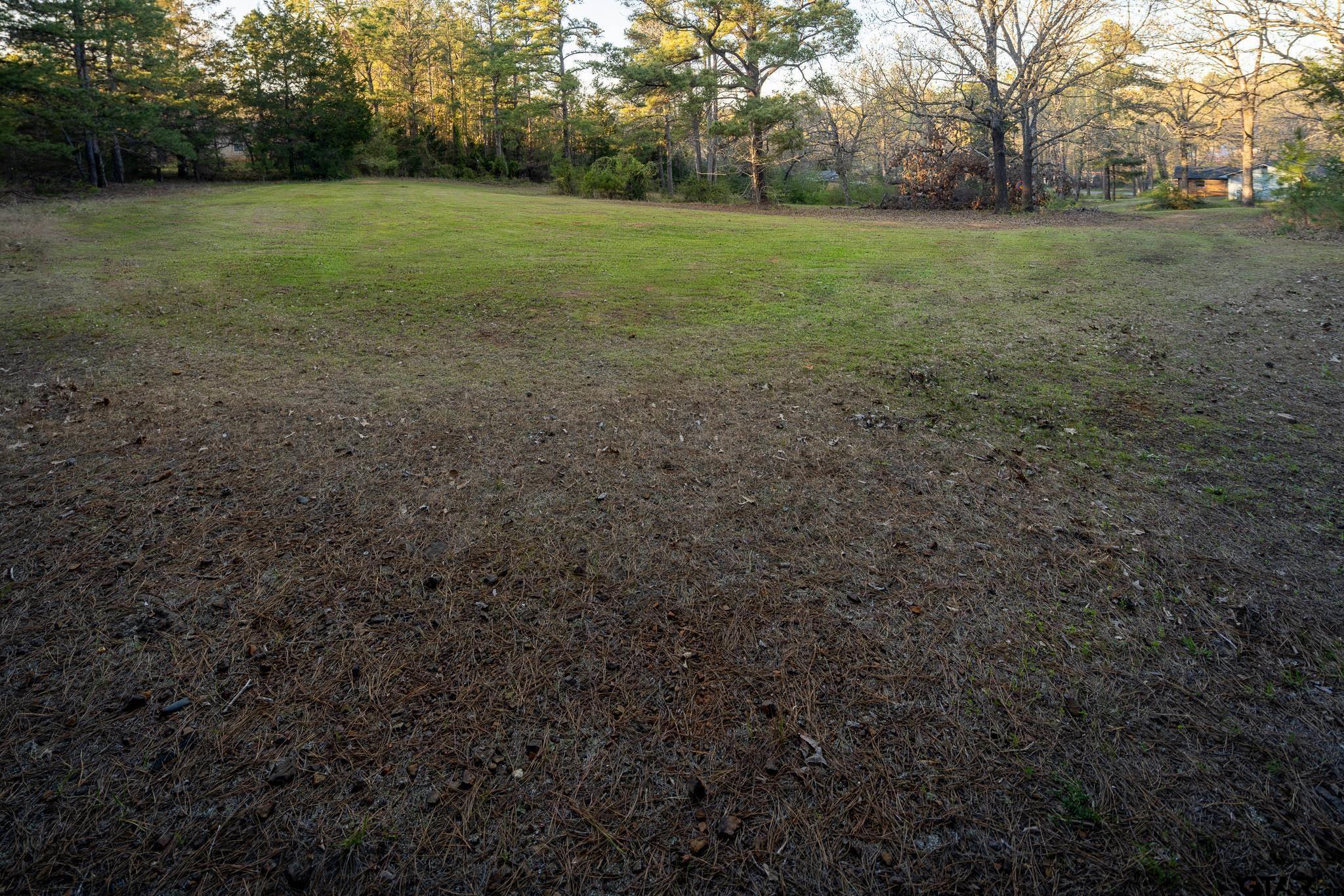 10733 County Road 4150 Tyler, TX 75704 - Photo 37 of 48 a view of outdoor space and yard